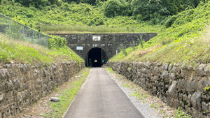Roadside Image